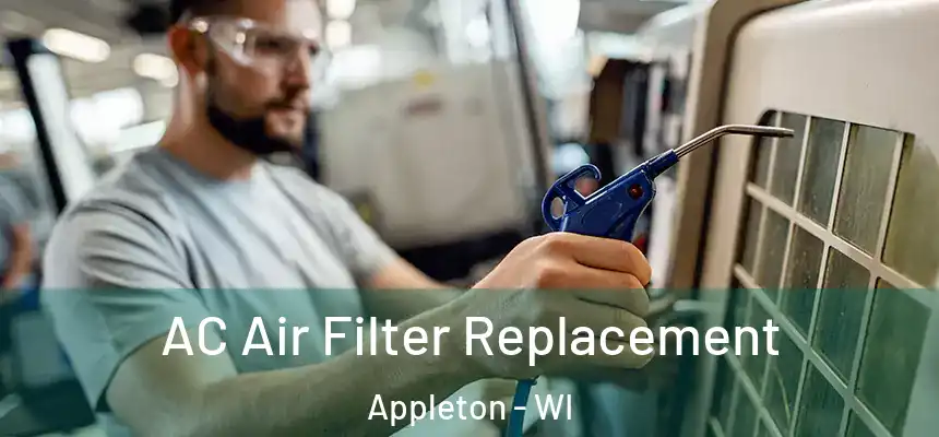 AC Air Filter Replacement Appleton - WI