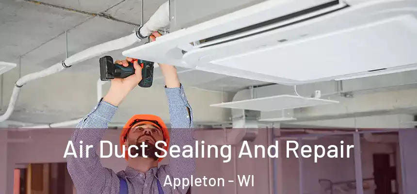 Air Duct Sealing And Repair Appleton - WI