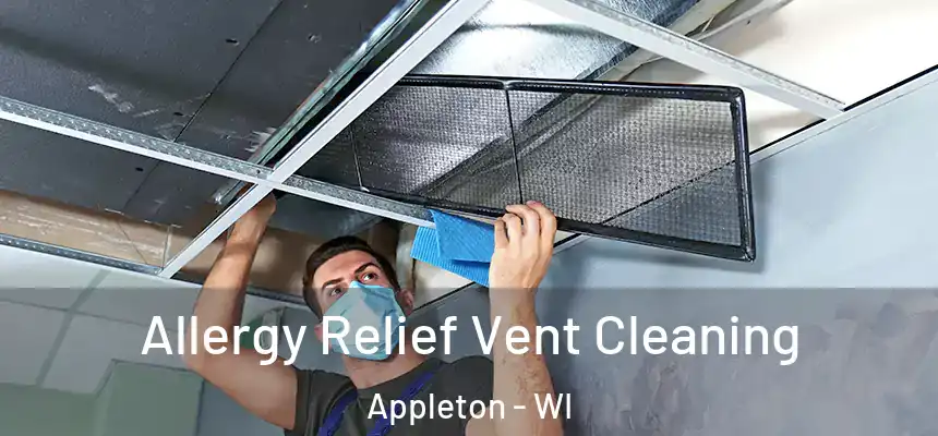 Allergy Relief Vent Cleaning Appleton - WI