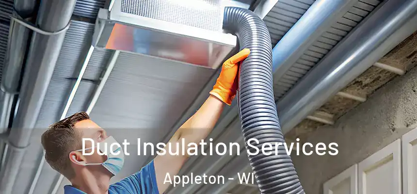 Duct Insulation Services Appleton - WI