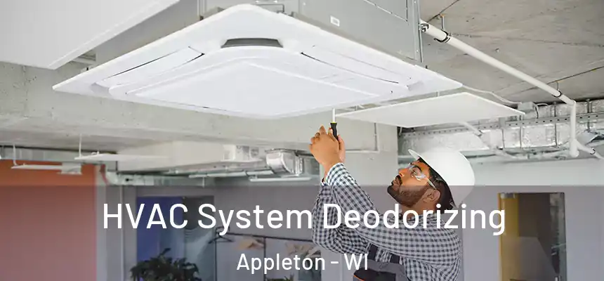 HVAC System Deodorizing Appleton - WI