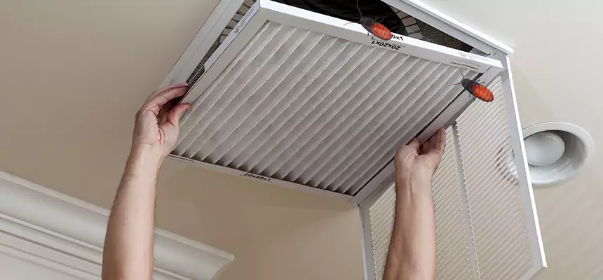 Preventive Cockroach-Proofing for Ducts in Appleton