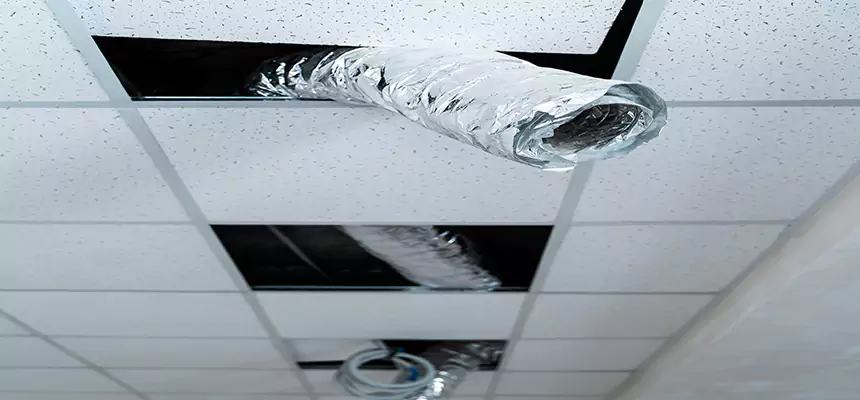 Affordable HVAC Sanitizing After Pest Removal in Appleton