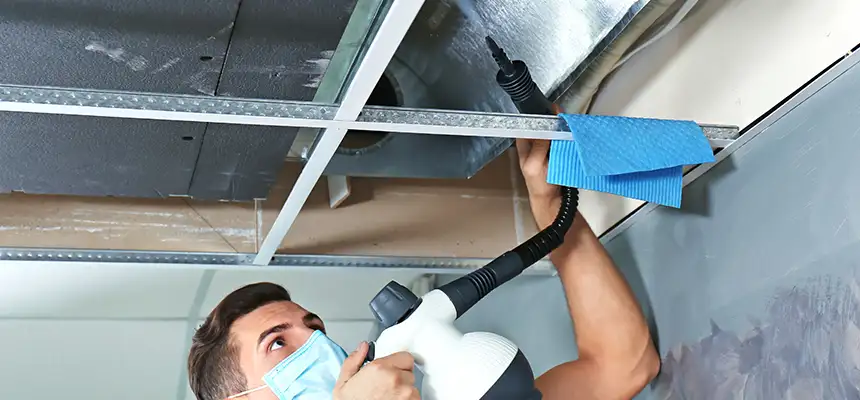 Our Air Duct Rodent Removal Services in Appleton, WI