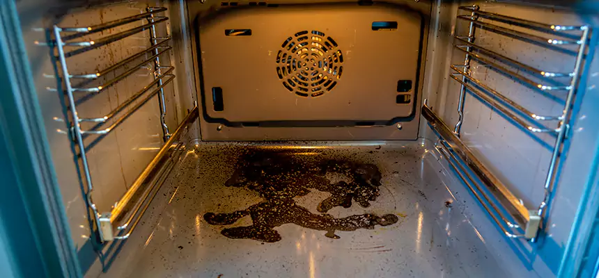 Our Dryer Vent Mold Cleaning Services in Appleton, WI