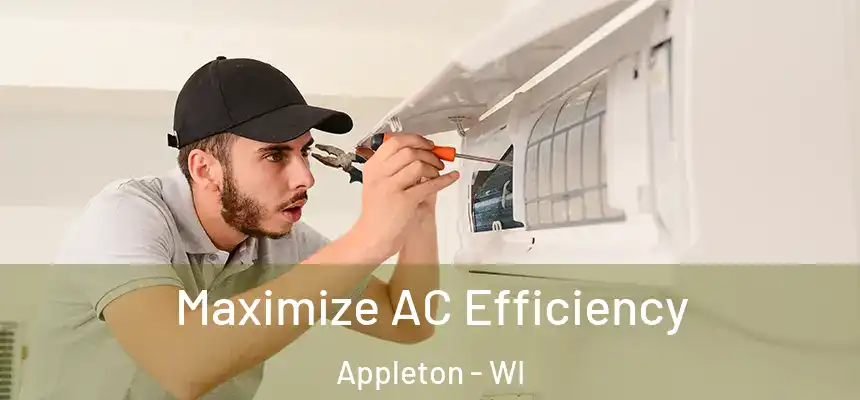 Maximize AC Efficiency Appleton - WI