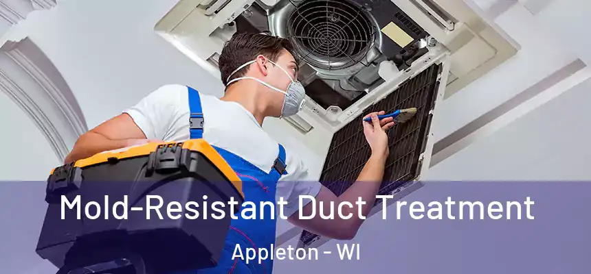 Mold-Resistant Duct Treatment Appleton - WI
