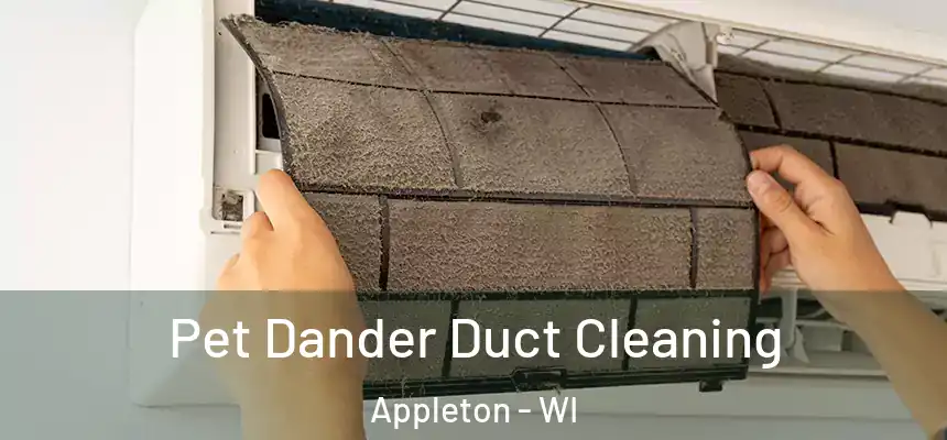 Pet Dander Duct Cleaning Appleton - WI