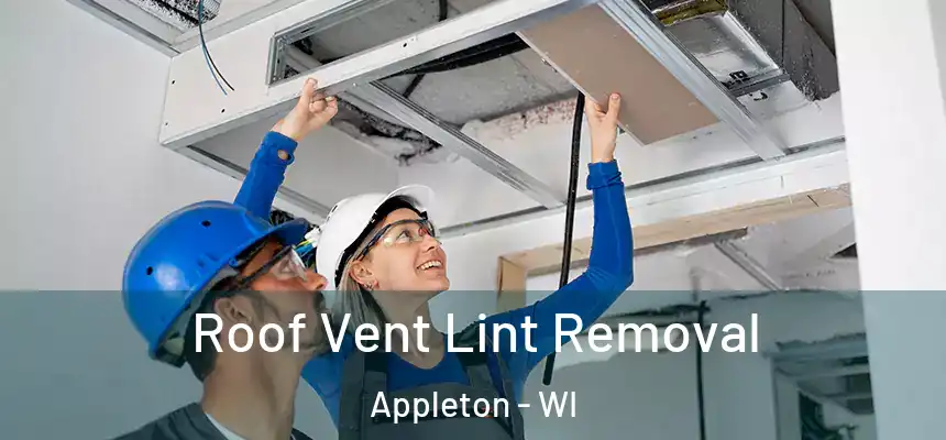 Roof Vent Lint Removal Appleton - WI