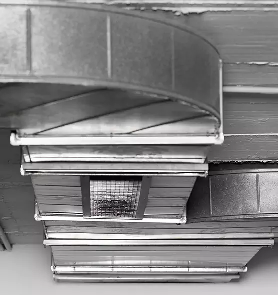 Professional Air Duct Pet Hair Removal in Appleton, WI