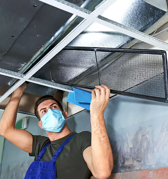 Professional Air Duct Pollen Cleaning in Appleton, WI