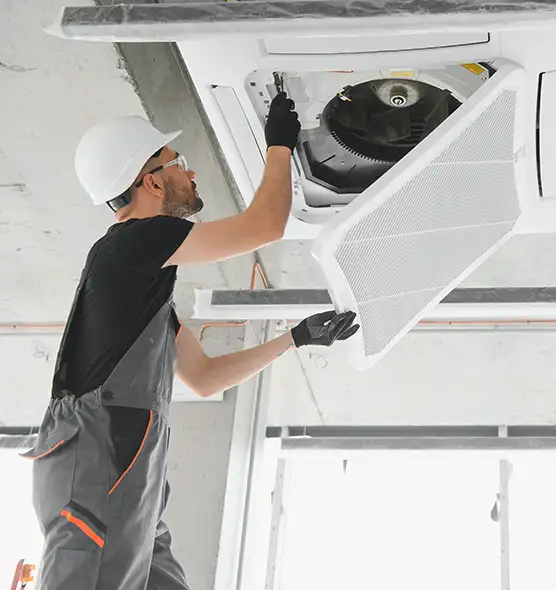 About Air Duct Rodent Removal in Appleton, WI