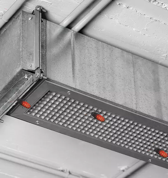 Affordable Insect Removal from Air Ducts in Appleton, WI