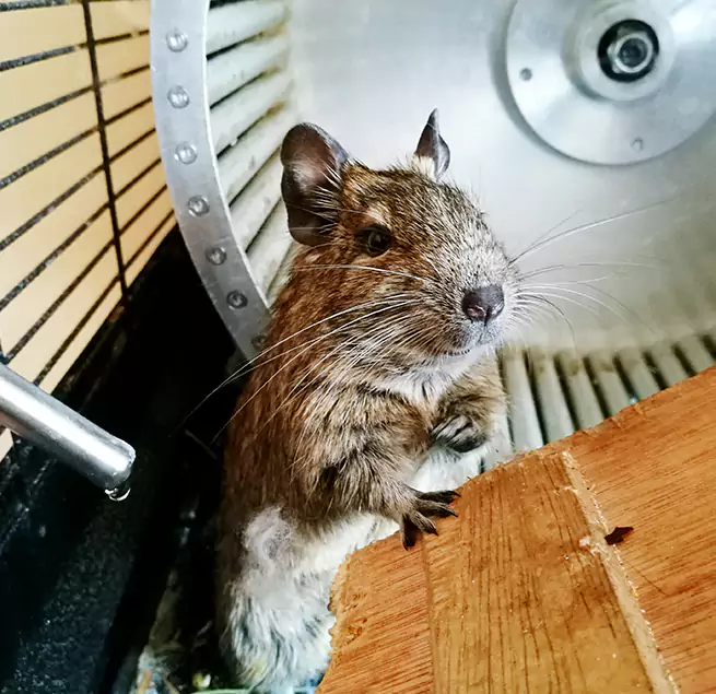 Why Homeowners & Businesses Trust Us Appleton, WI?